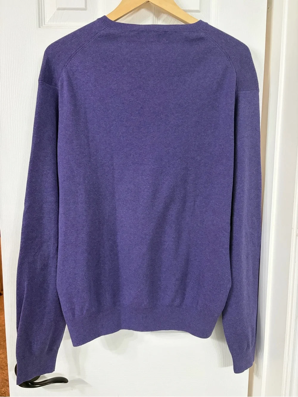 Polo by Ralph Lauren Purple V-Neck Sweater with Green Pony